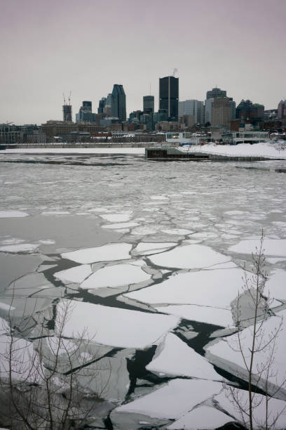istock Montreal Downtown View From Accross St Lawrence River 1131652511