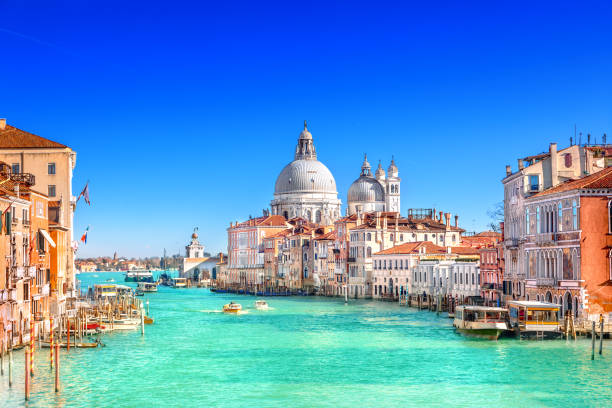 istock Santa Maria della Salute, Venice 1131654833