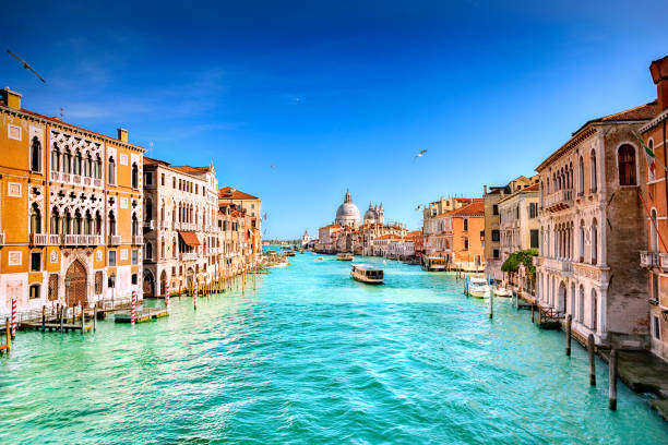 istock Santa Maria della Salute, Venice 1131655814