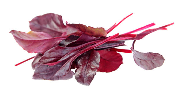 istock Fresh young chard red leaves isolated on white background 1131657769