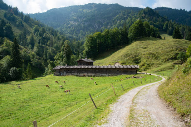 königsalm nad jeziorem tegernsee - tegernsee lake tegernsee lake mountain zdjęcia i obrazy z banku zdjęć