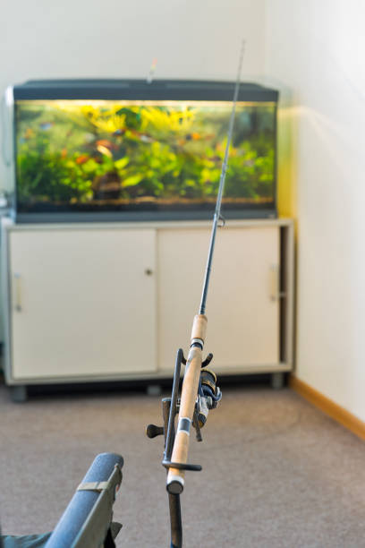 istock Crazy games. Fishing in aquarium. 1131658841