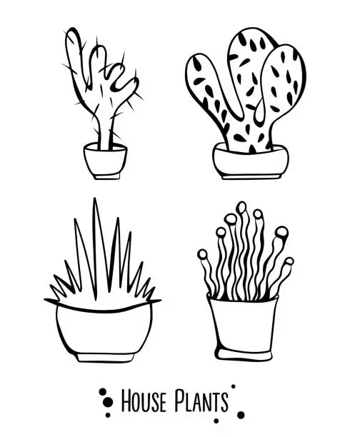 Vector illustration of House plants