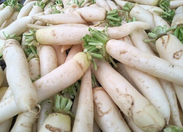 istock Daikon - Fresh root vegetable from local farmer market 1131662442