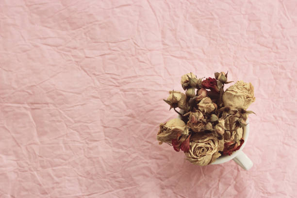 A dozen dead red roses in a blue glass vase sitting on a wooden table with a shadow cased on the green wall. The dried leaves and petals have fallen down onto the table from the bouquet being abandoned after Valentine's day, anniversary or birthday.