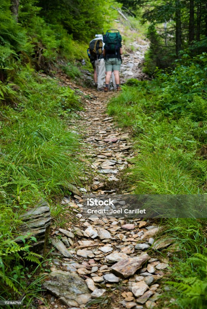 Hikers consult a map on trail in the Smoky Mountains A group of hikers pause to consult a map on a trail leading to Mt LeConte in the Great Smoky Mountains National Park Hiking Stock Photo