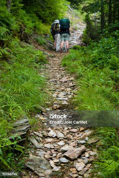 Hikers Consult A Map On Trail In The Smoky Mountains Stock Photo - Download Image Now