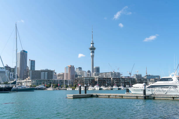 istock sky tower in auckland and harbour 1131669539