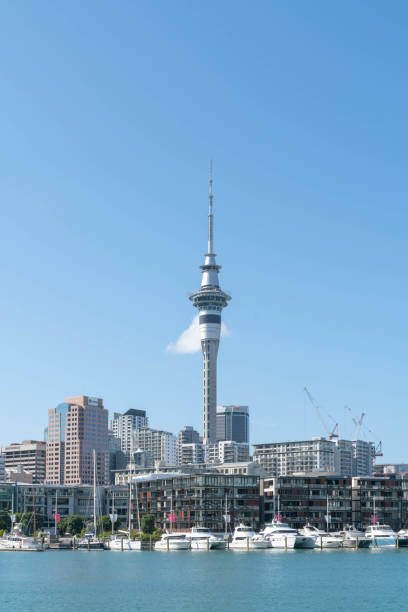 istock sky tower in auckland and harbour 1131669540