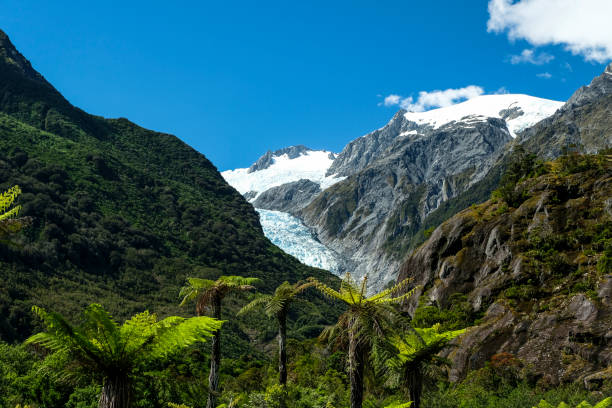 istock Franz Josef Glacier, New Zealand 1131673446