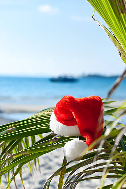 istock Santa's hat hanging on palm tree at the tropical beach 113167667