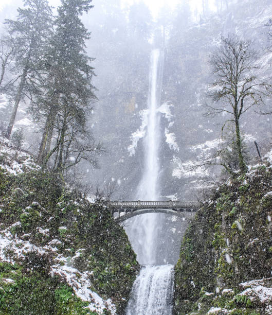 istock Multnomah Falls in the snow 1131681911