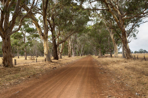 istock An Australian country road 1131682855