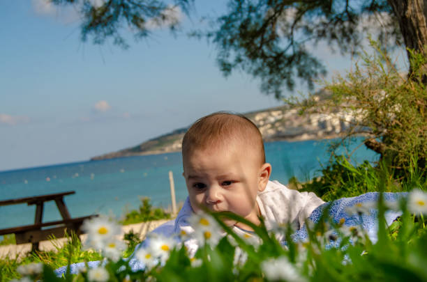 mignon 4 mois bébé garçon ayant un temps de ventre sous l'arbre et la mer dans le fond - 3878 photos et images de collection