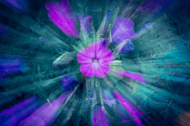 istock Purple flower with blur effect 1131686878