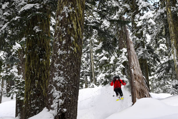 istock Skiing fresh powder in the mountains 1131690315