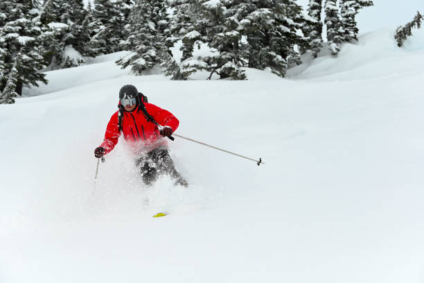 istock Skiing fresh powder in the mountains 1131690316