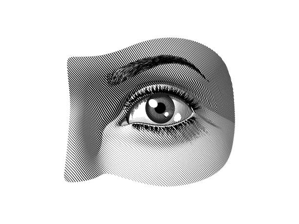 ilustrações de stock, clip art, desenhos animados e ícones de human eye part black and white illustration vintage style - close up of iris