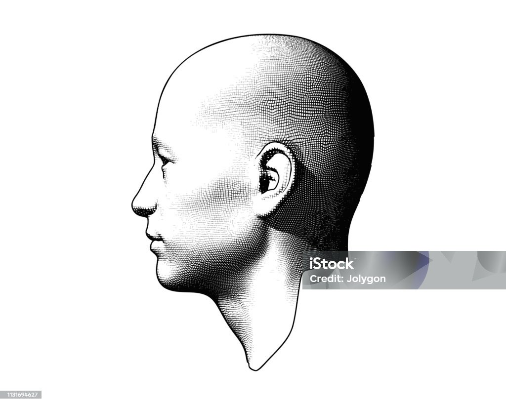 Engraving human head illustration on white BG Monochrome engraving drawing bald human head in side view illustration isolated on white background Head stock vector