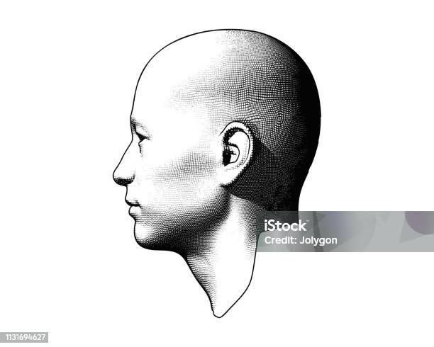 Engraving Human Head Illustration On White Bg Stock Illustration - Download Image Now - Head, Profile View, Men