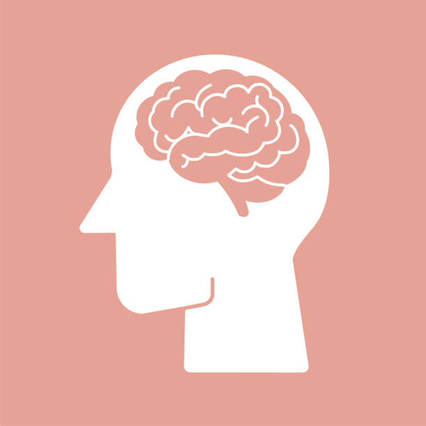 Human brain vector icon illustration Human brain vector flat icon pictogram symbol on pink background easy to edit stoke and color brain illustrations stock illustrations