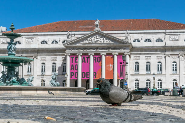 リスボンのドナ・マリア2世国立劇場 - editorial built structure fountain town square ストックフォトと画像