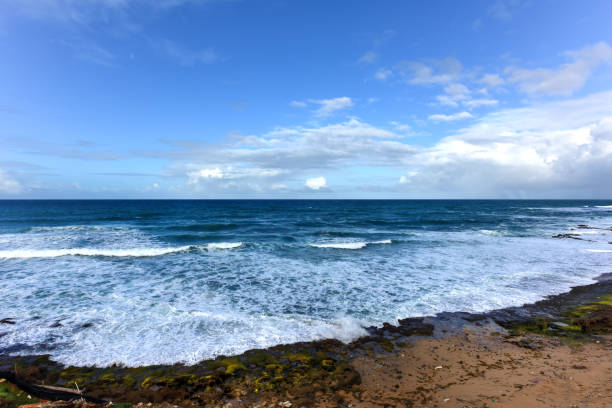 istock Beach and Rocks off San Juan, Puerto Rico 1131696914