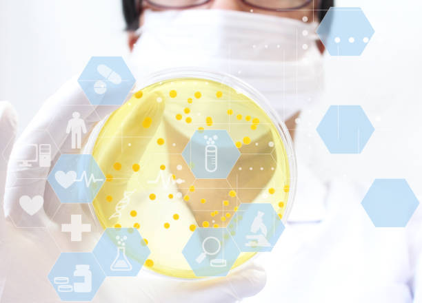 istock Image of research worker at the lab 1131697834