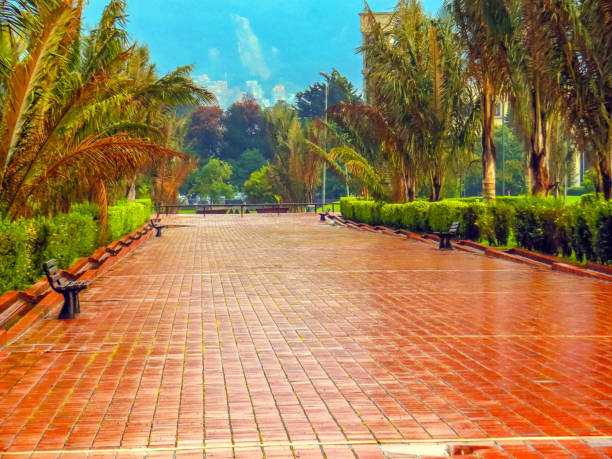 Brick Path with palm trees, benchs, bushes, with trees and buildings in background.