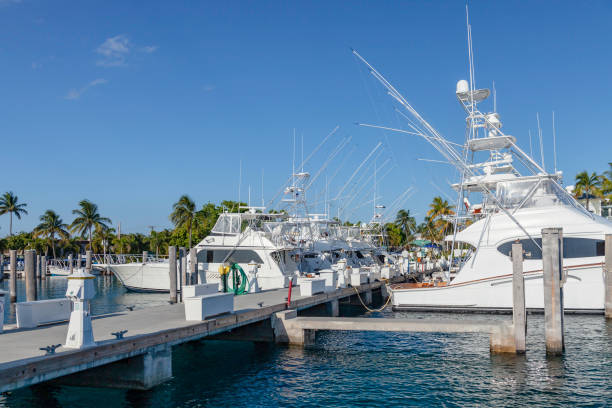 wczesnym rankiem w marinie w pobliżu riviera beach na florydzie - nautical vessel moored yacht harbor zdjęcia i obrazy z banku zdjęć