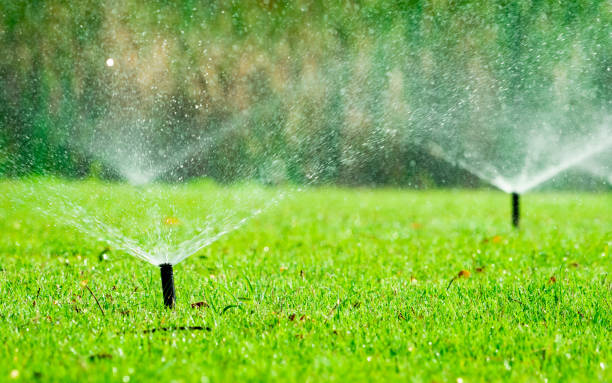istock Automatic lawn sprinkler watering green grass. Sprinkler with automatic system. Garden irrigation system watering lawn. Water saving or water conservation from sprinkler system with adjustable head. 1131702078