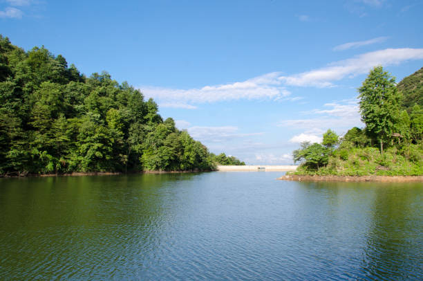 istock The lake in the mountains 1131702681