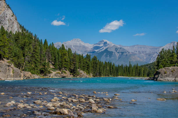 istock The Bow River near Banff 1131706041