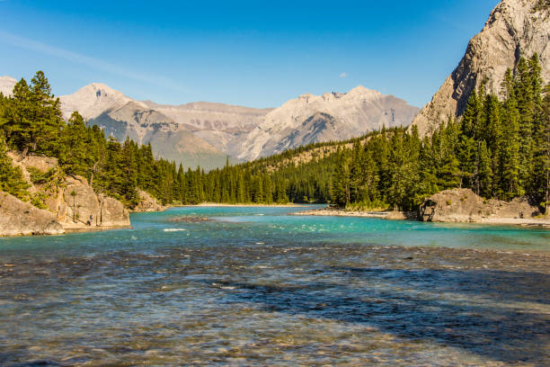 The Bow River near Banff