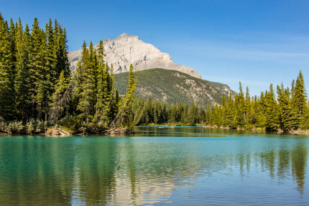 istock The Bow River near Banff 1131707097