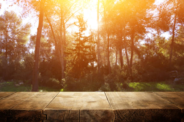 istock photo of front rustic wooden table and background forest 1131718697