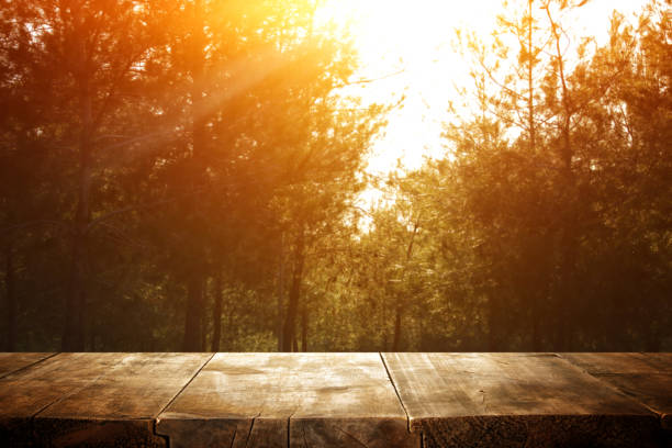 istock photo of front rustic wooden table and background forest 1131718782