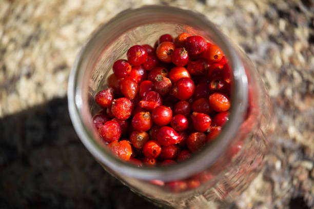 istock Rose Hips in a Mason Jar 1131720858