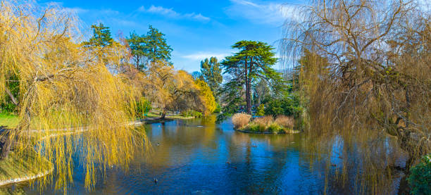istock Beacon Hill Park panorama during the spring in Victoria, Canada 1131723274