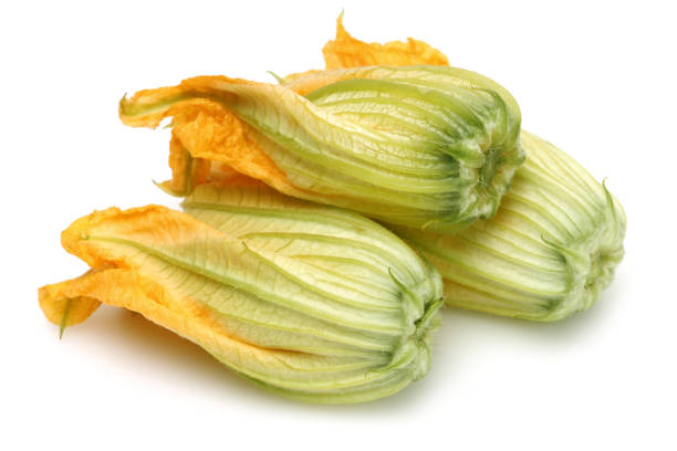 flores de calabaza aisladas en blanco - squash flower plant single flower fotografías e imágenes de stock