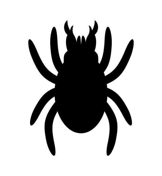 Tick The silhouette of the tick. dani stock illustrations