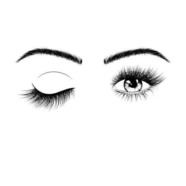 ręcznie rysowane kobiece oczy sylwetka. wink jedno oko. oczy z rzęsami i brwiami. ilustracja wektorowa izolowana na białym tle - twink stock illustrations