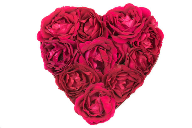 istock Rose Flowers Heart 1131731176
