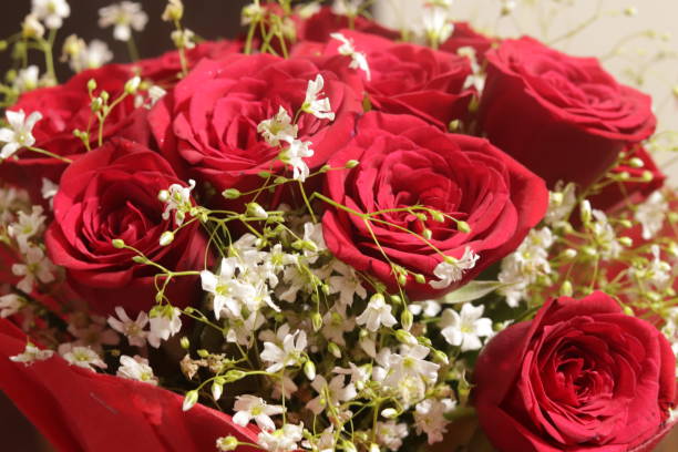 istock bouquet of red roses and black forest cake 1131731273