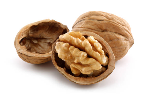 nueces y nogal agrietado aislados en blanco - walnut pod nutshell cross section fotografías e imágenes de stock