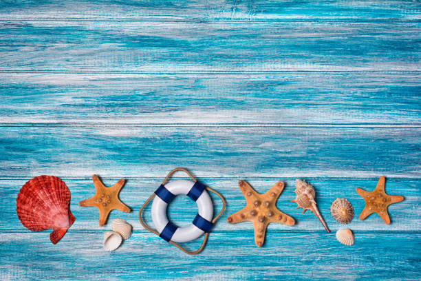 istock Top view on starfish and seashells 1131734668
