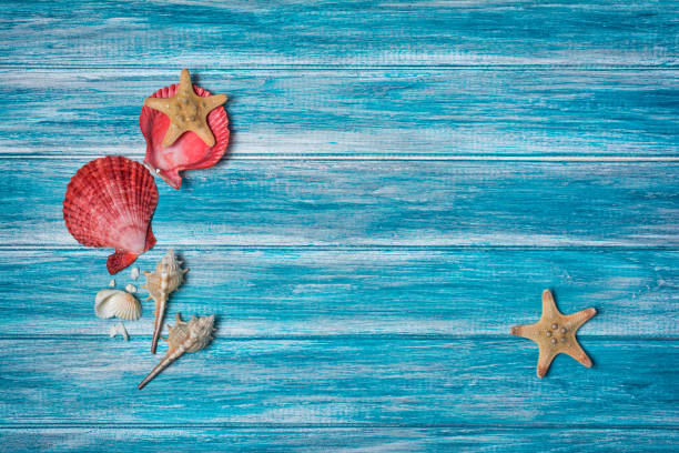 istock Top view on starfish and seashells on blue wooden background 1131735049