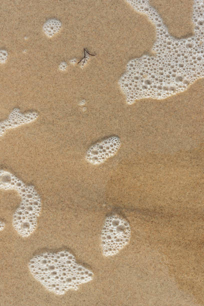 istock Baltic sea coastline. 1131739386