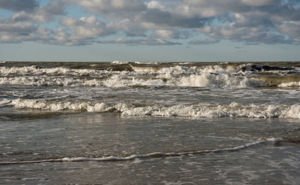 istock Baltic sea coastline. 1131740403