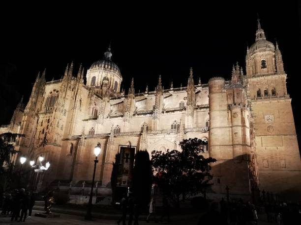 istock Cathedral of Salamanca at night 1131740682
